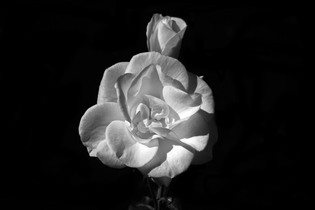 20151108-IMG_0266-2 Edit-Edit