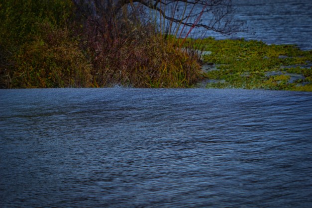 20151115-IMG_0033-Edit-Edit-Edit