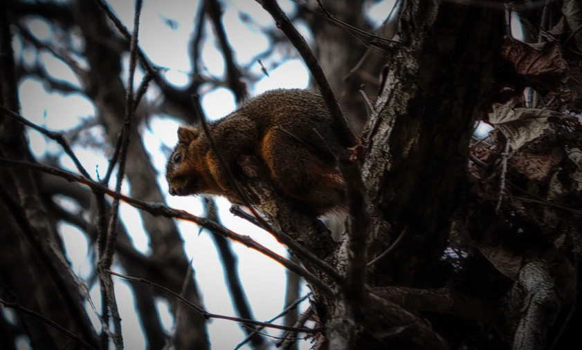 20151115-IMG_0076-Edit-Edit