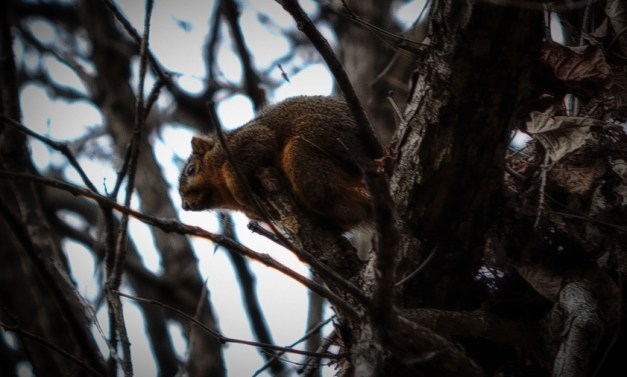 20151115-IMG_0076-Edit-Edit