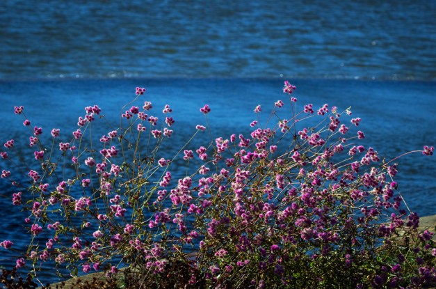 20151122-IMG_0140-Edit