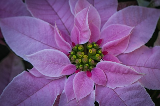 20151122-IMG_0061-Edit