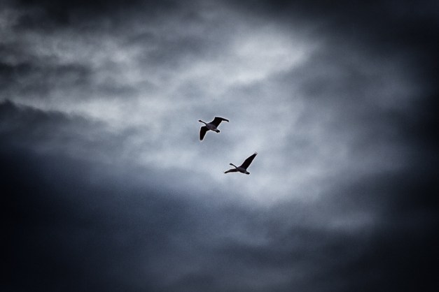 20151206-IMG_0153-Edit-Edit-Edit