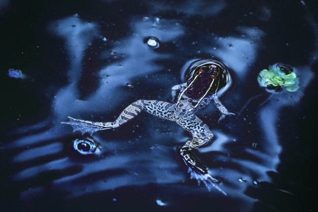 20151206-IMG_0169-Edit-Edit-Edit-Edit-Edit-Edit