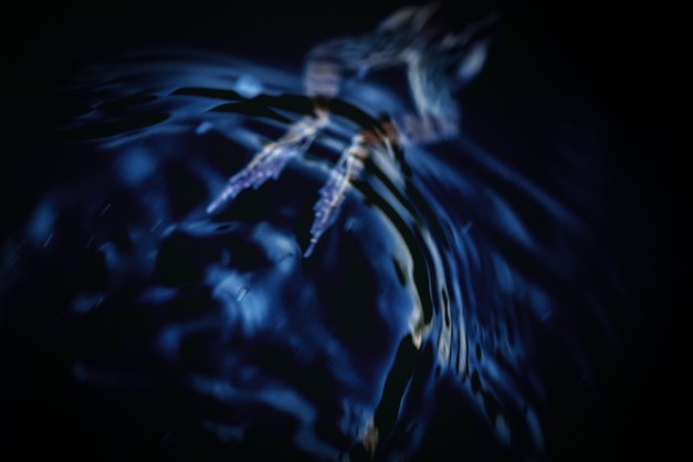 20151206-IMG_0173-Edit-Edit-Edit