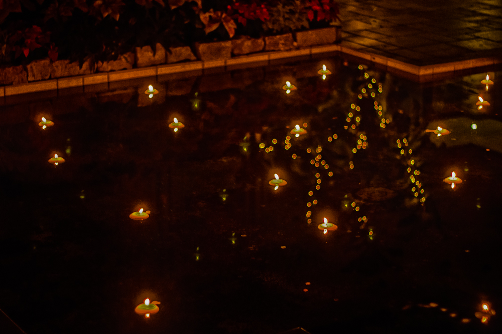 20151212-IMG_0333-Edit