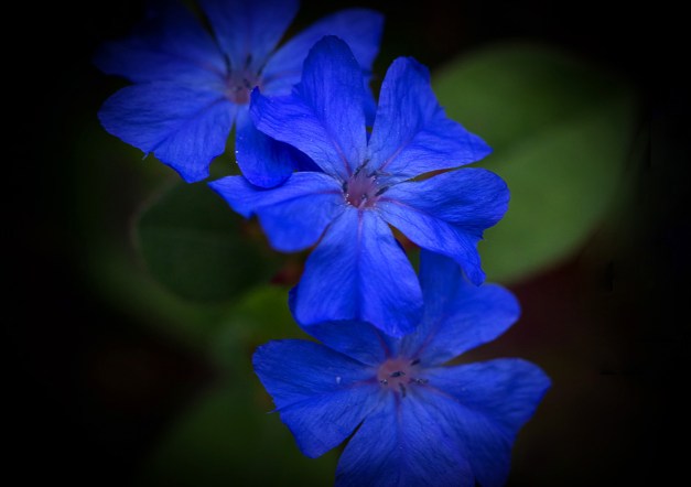 20150809-IMG_0533-Edit