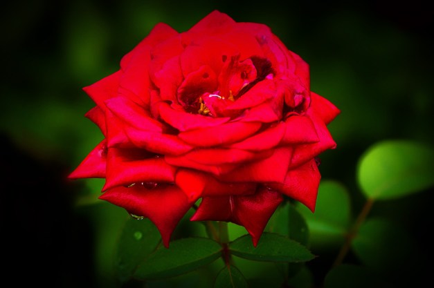 20150830-IMG_0039-Edit