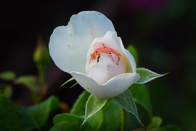 20150915-IMG_0821-Edit