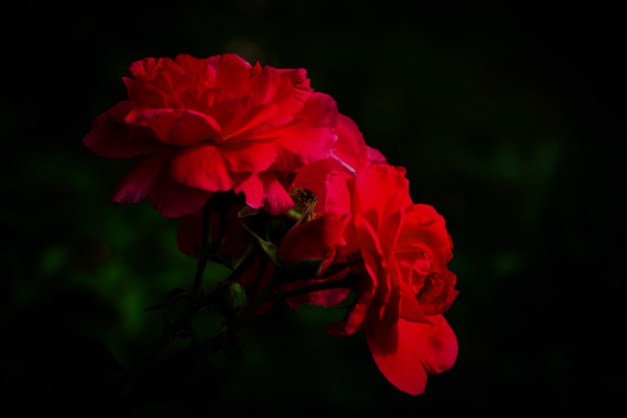 20150915-IMG_0866-2Edit