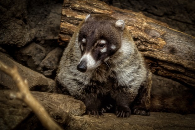 20150916-IMG_1307-Edit-Edit