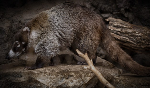 20150916-IMG_1310-Edit