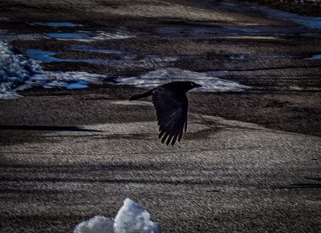 20160103-IMG_0153-Edit-2