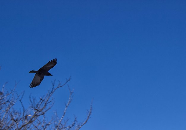 20160103-IMG_0169-Edit