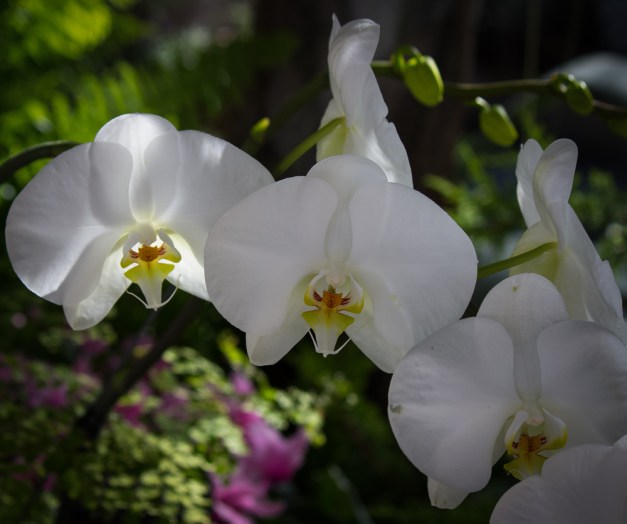 20160117-IMG_0013-Edit