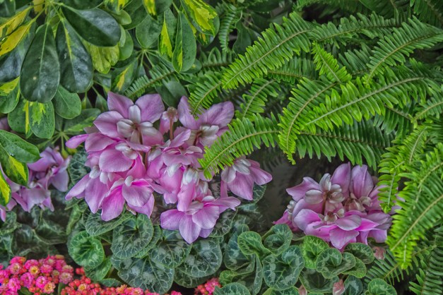 20160117-IMG_0043-Edit