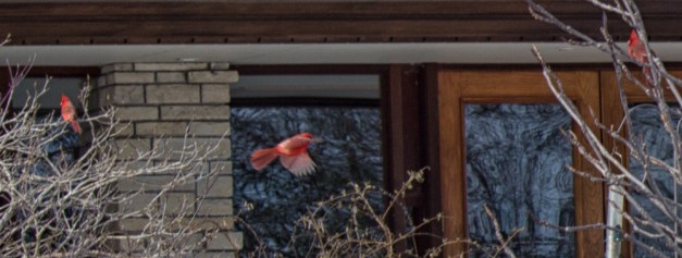 20160117-IMG_0127-Edit-Edit