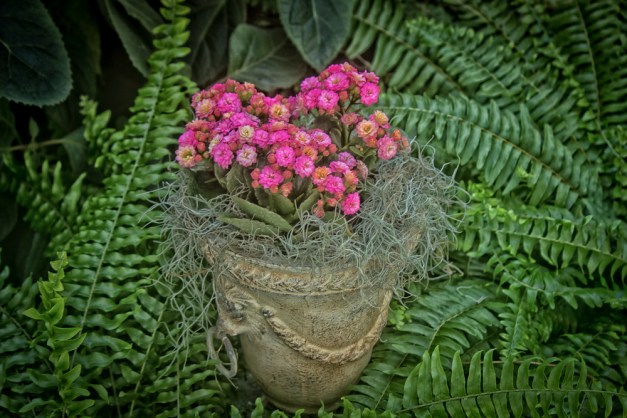 20160117-IMG_0221-Edit