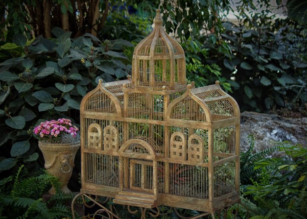 20160124-IMG_0126-Edit_edited-1