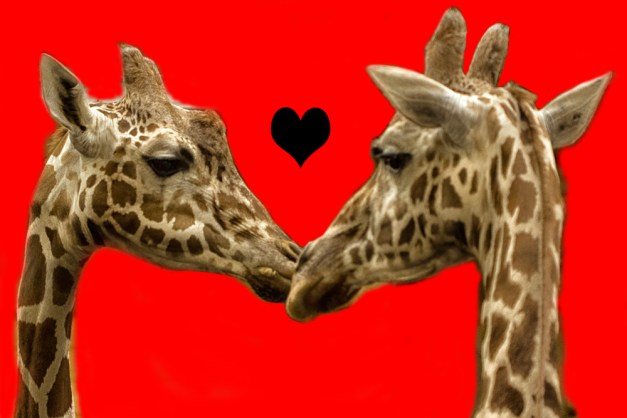 20150916-IMG_0388-2Edit