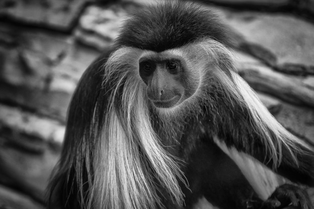 20150916-IMG_0643-Edit