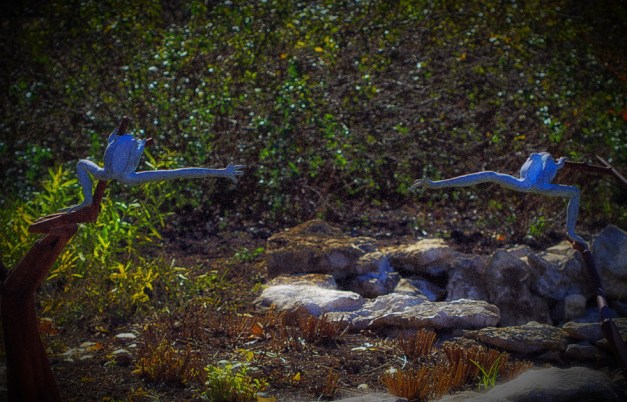 20151106-IMG_0064-2Edit-Edit