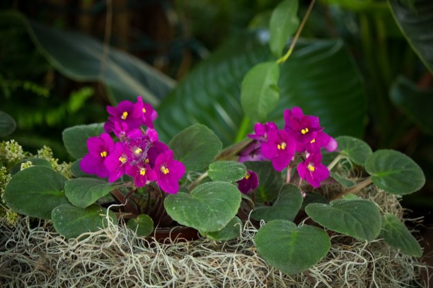 20160124-IMG_0136-Edit