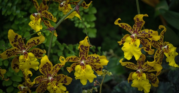 20160131-IMG_0054-Edit