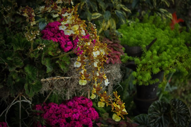 20160214-IMG_0050-Edit