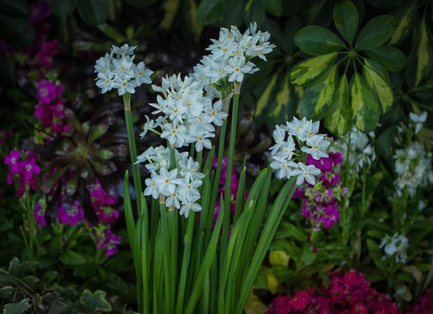 20160221-IMG_0340-Edit