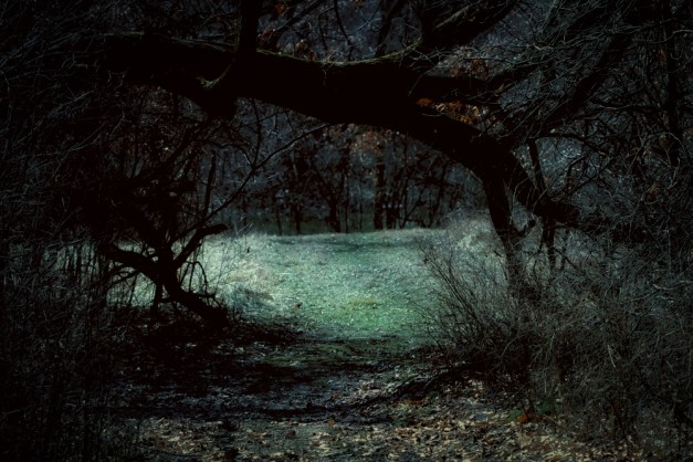 20160228-IMG_0215-Edit-Edit-Edit