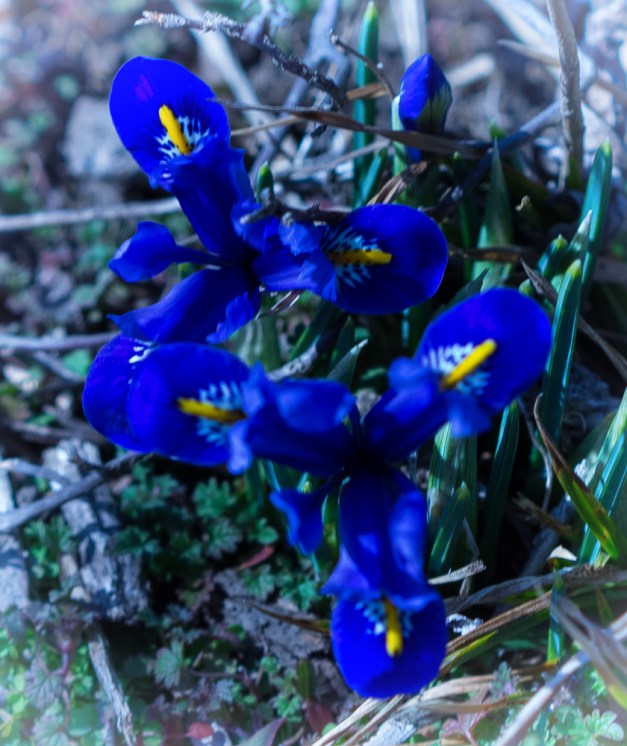 20160228-IMG_0314-Edit