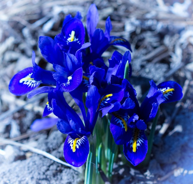 20160228-IMG_0325-Edit