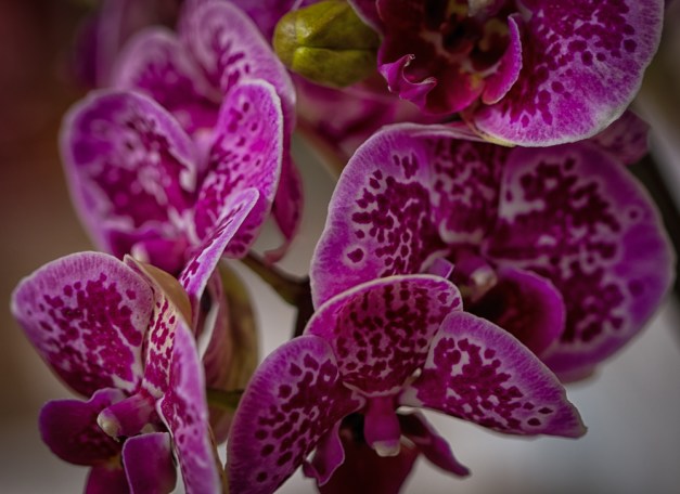 20160306-IMG_0002-Edit