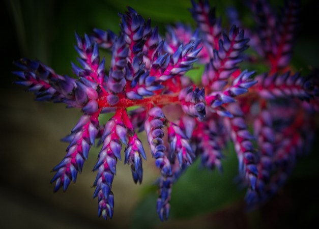 20160313-IMG_0058-Edit-Edit