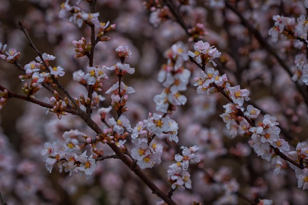 20160313-IMG_0561-Edit-Edit