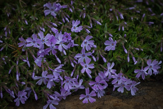 20160320-IMG_0063-Edit