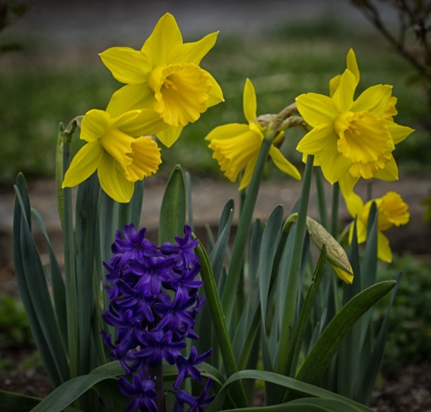 20160320-IMG_0105-Edit