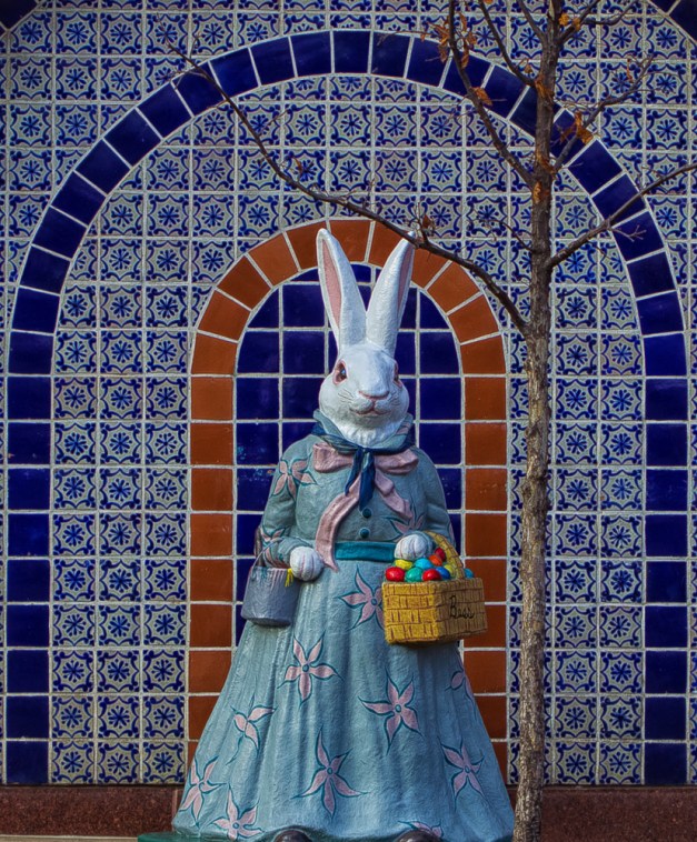 20160326-IMG_0093-Edit-Edit