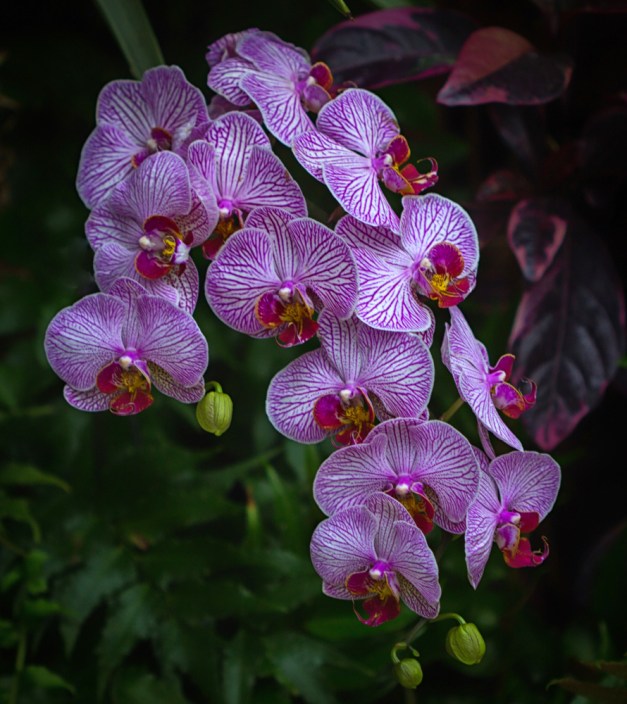 20160410-IMG_0039-Edit-Edit