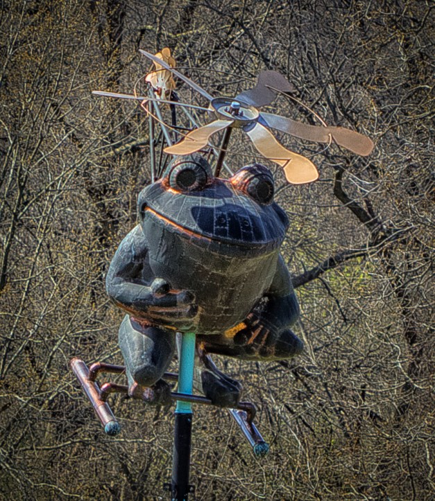 20160415-IMG_0242-Edit-Edit