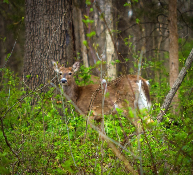 20160415-IMG_0535-Edit