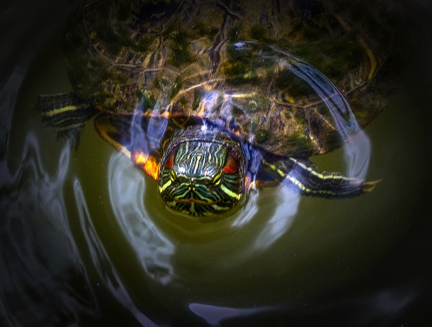 20160415-IMG_0812-Edit-Edit copy