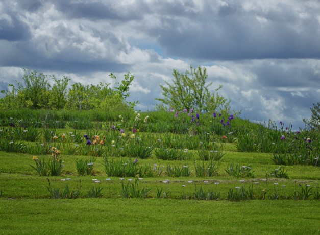 20160501-IMG_0374-Edit-Edit-Edit