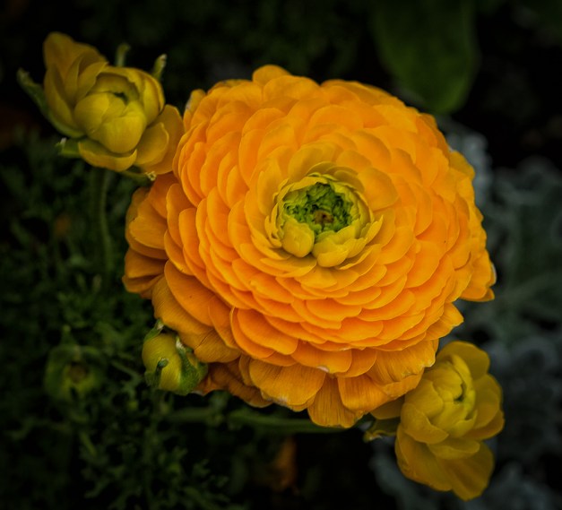 20160501-IMG_0441-Edit-Edit