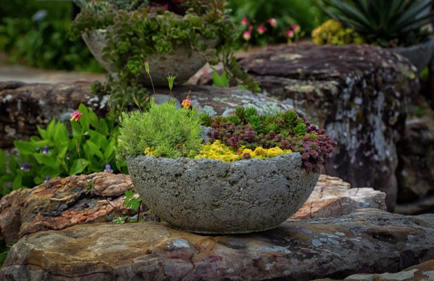 20160501-IMG_0595-Edit-Edit