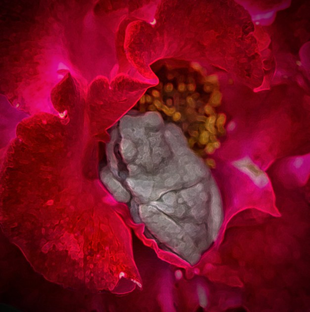 20160508-IMG_0641-Edit copy