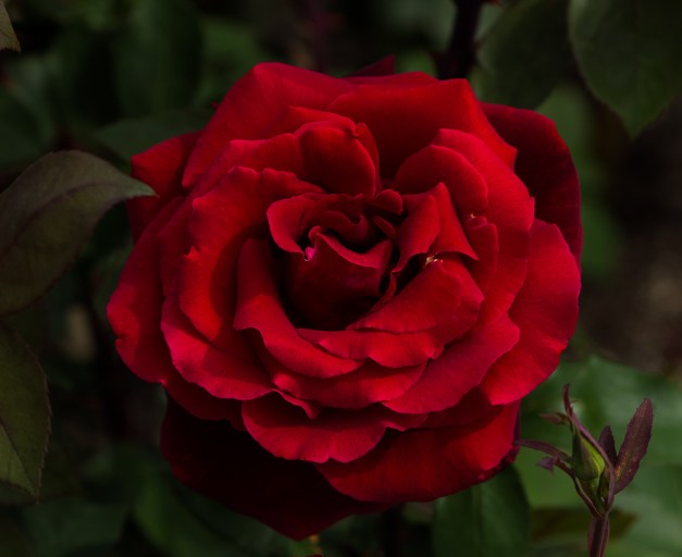 20160508-IMG_0737-Edit