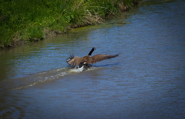 20160514-IMG_0056-Edit