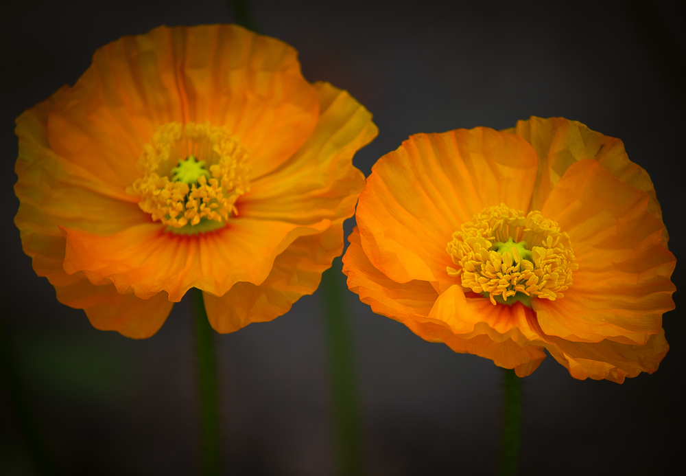 20160522-IMG_0466-3-Edit